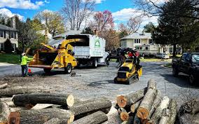 Best Tree Maintenance Programs  in Rockvale, TN