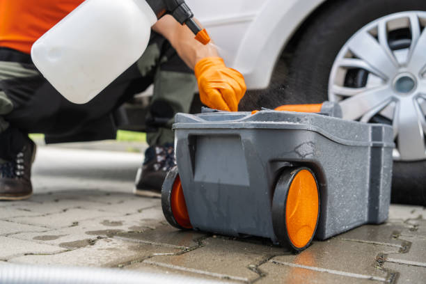 Trusted Rockvale, TN Tree Removal Experts