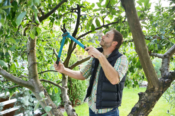 Best Tree Trimming and Pruning  in Rockvale, TN